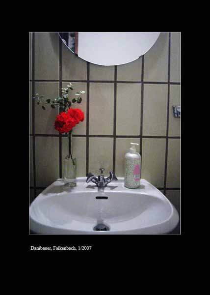 13danibauer9019 Kopie