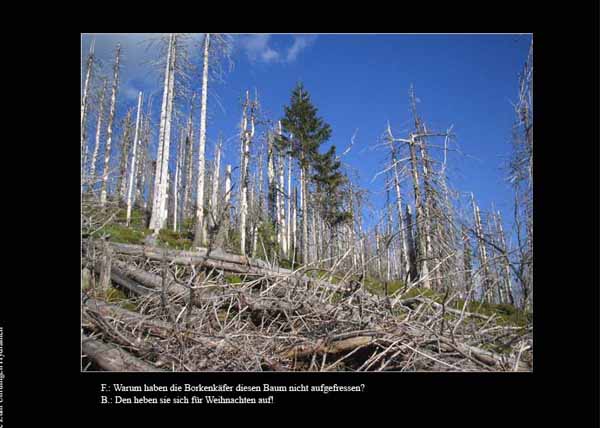 Weihnacht_1777 Kopie