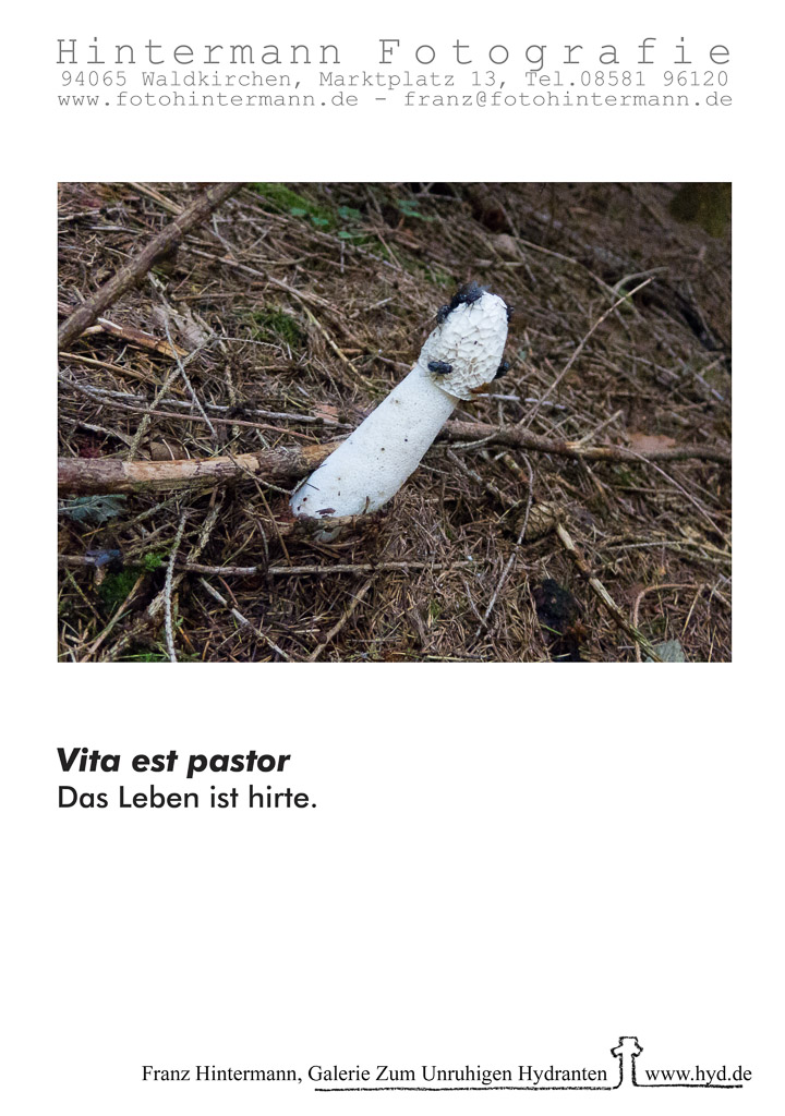 03vita est pastor