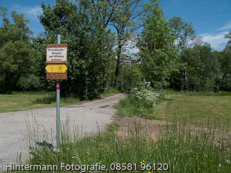 090521123152IMG_0004