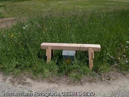 090521123610IMG_0006