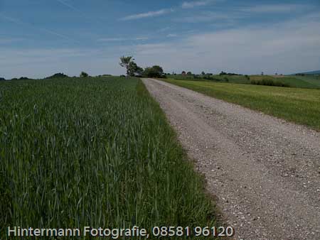 090521130202IMG_0015