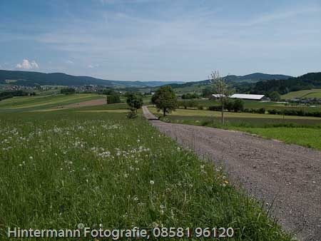 090521132846IMG_0023