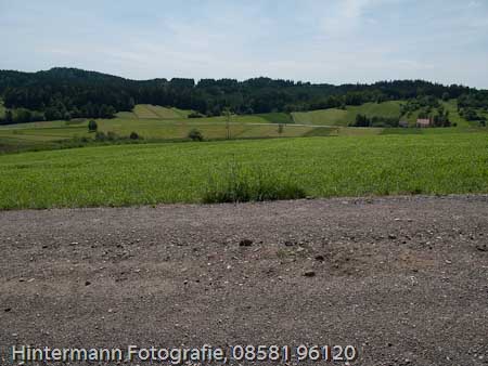 090521132849IMG_0024