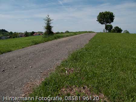 090521132852IMG_0025