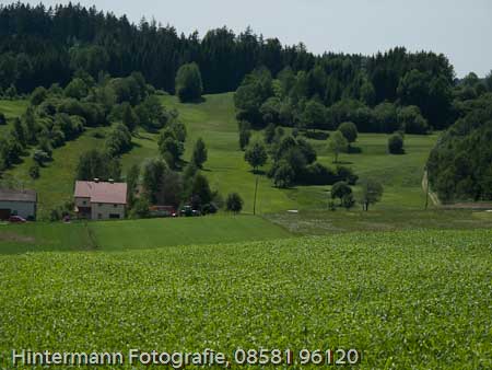 090521133132IMG_0027