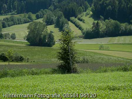 090521133143IMG_0028