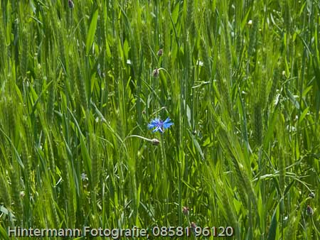 090521134319IMG_0032