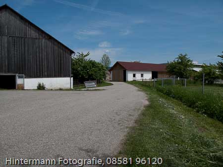 090521135114IMG_0039