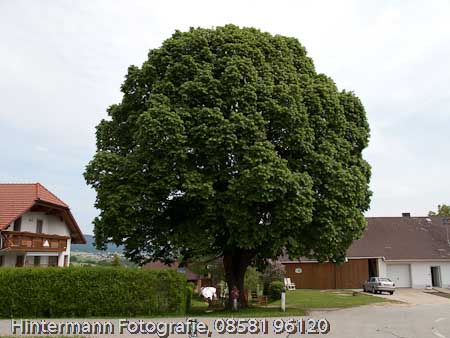 090521144615IMG_0043