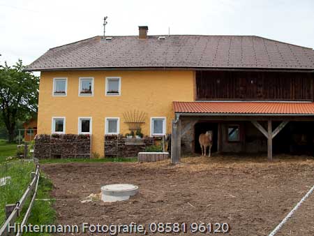 090521145005IMG_0046