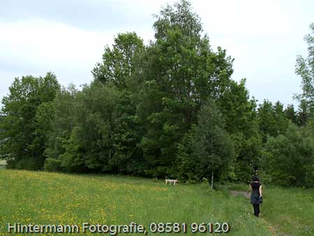 090521150452IMG_0050