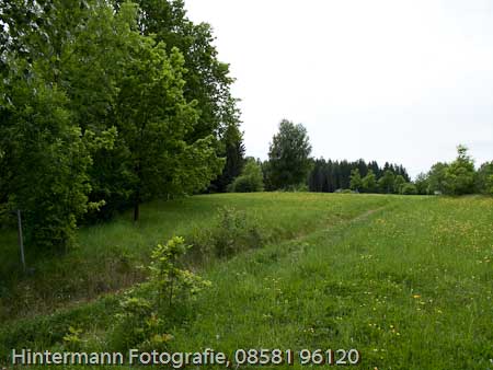 090521150545IMG_0051