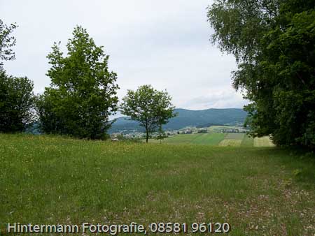 090521150554IMG_0053