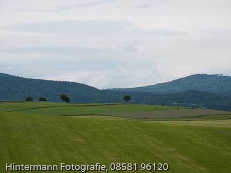 090521152643IMG_0055