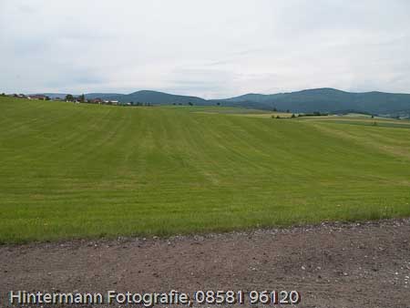 090521152819IMG_0061