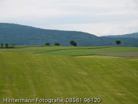 090521153156IMG_0068