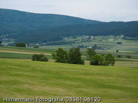 090521153205IMG_0069