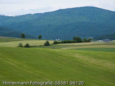 090521153306IMG_0071