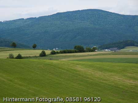 090521153439IMG_0074