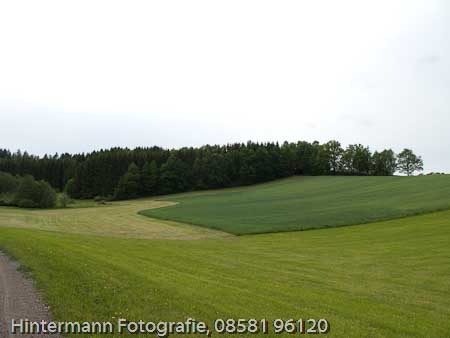 090521153653IMG_0077