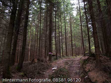 090521154025IMG_0078