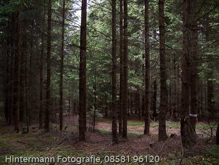 090521154257IMG_0084