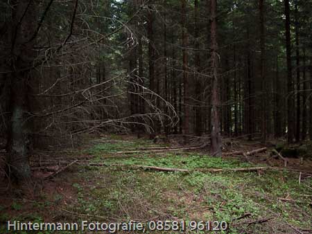 090521154305IMG_0085