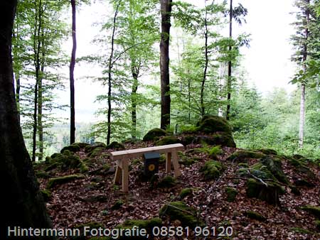 090521161413IMG_0090