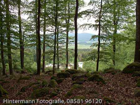 090521162352IMG_0092