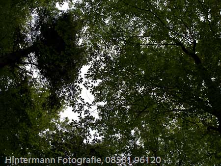 090521162531IMG_0103