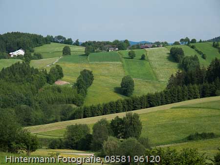 090521170346IMG_0108